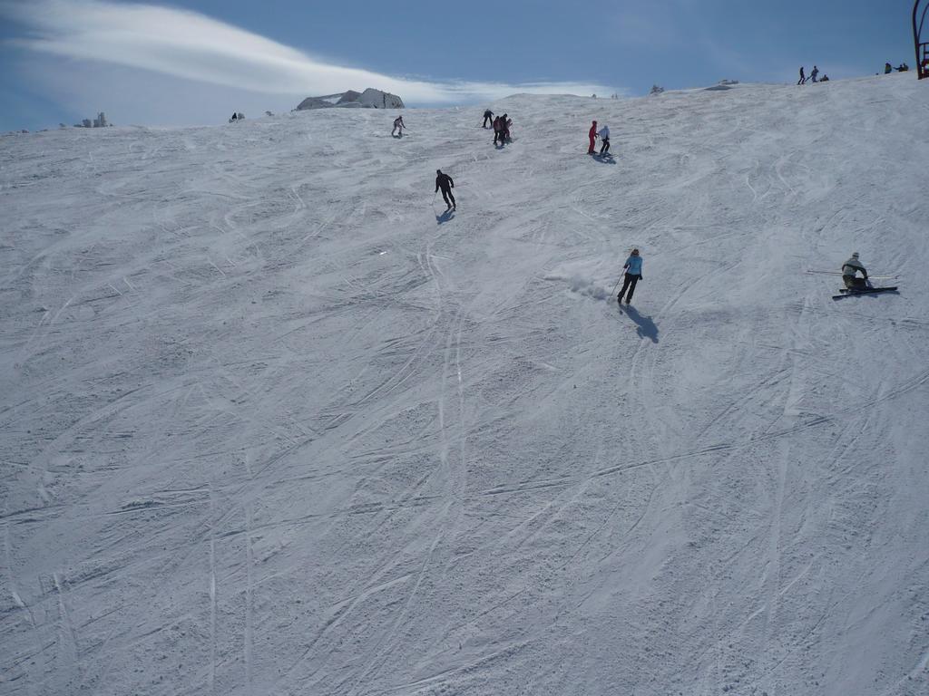 Bed And Breakfast Vila Lala Jahorina Exterior foto